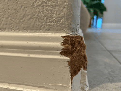 Full home painting